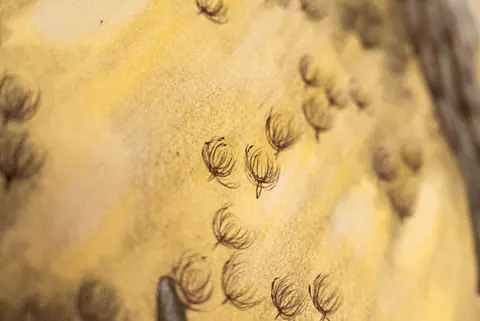 Détail de l'arbre du vent : petites graines dessinées à l'encre sur fond jaune.