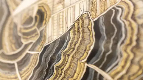Détail : couches ondulantes dorées et noires autour de la cabane.