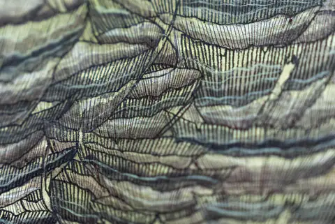 Strates de lignes ondulées, comme une coupe de terrain.