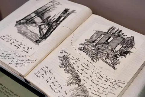 Double page de carnet : arbres dessinés à l'encre et notes manuscrites.