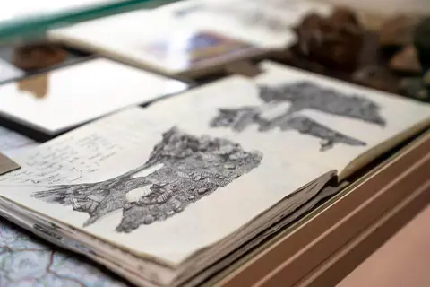 Carnet ouvert sur un tronc d'arbre dessiné en lignes denses.