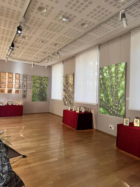 Vue d'ensemble de la salle d'exposition, parquet clair et grandes fenêtres.