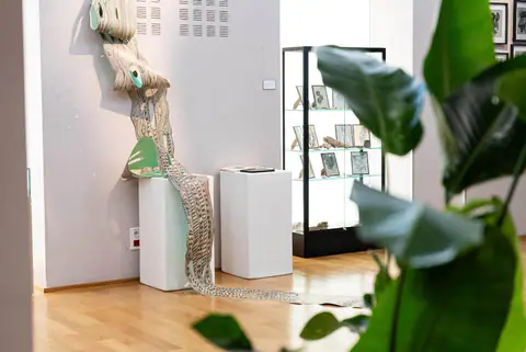Le chemin dessiné dans la salle, près d'une vitrine et d'une plante.