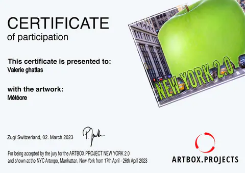 Certificat de participation à Artbox.Projects New York 2.0 pour l'œuvre « Météore ».