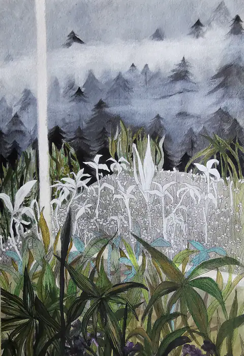 Forêt de sapins dans la brume, au-dessus d'un tapis de fleurs blanches et de feuillages.