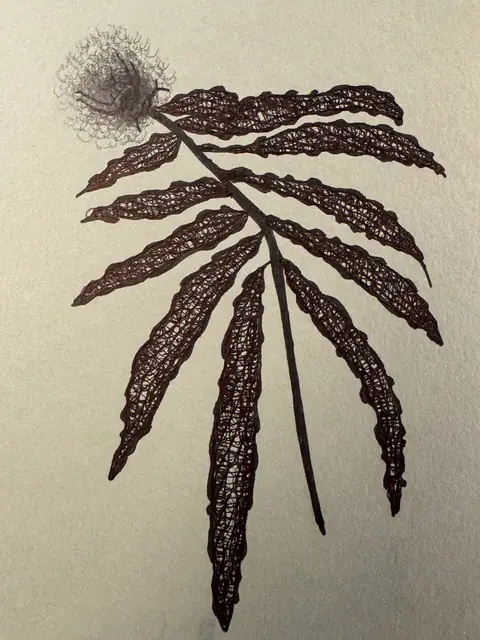 Mon jardin intérieur, dessin 8