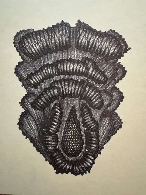 Mon jardin intérieur, dessin 11