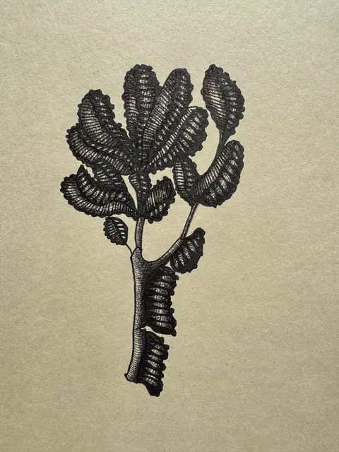 Mon jardin intérieur, dessin 13