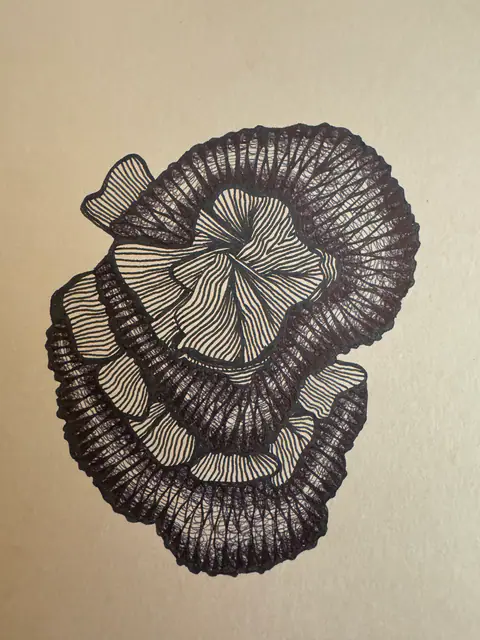 Mon jardin intérieur, dessin 25