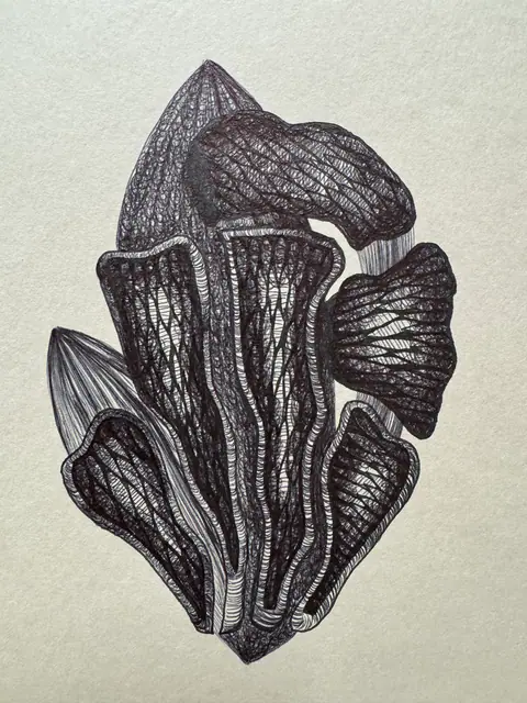 Mon jardin intérieur, dessin 36