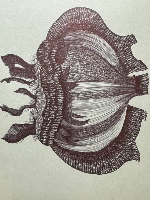 Mon jardin intérieur, dessin 39