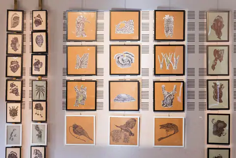 Mur d'accrochage : dizaines de petits dessins encadrés de noir, sur fond orangé et gris.