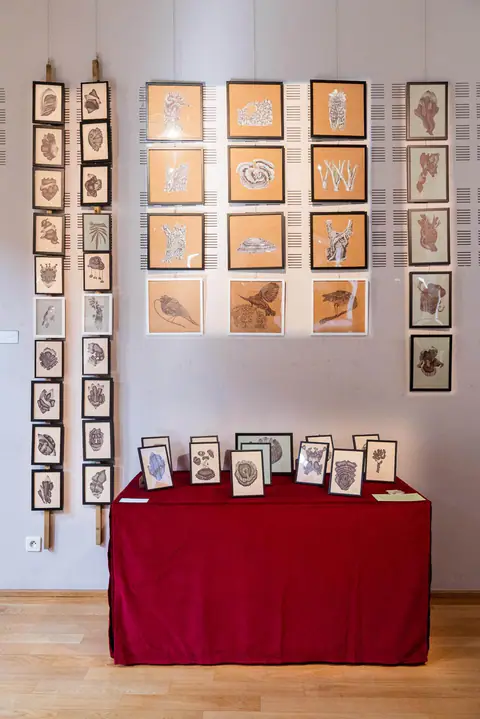 Vue d'exposition : mur de dessins et table drapée de rouge portant d'autres cadres.