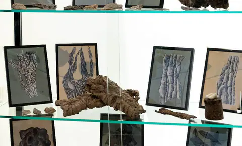 Vitrine : dessins encadrés et morceaux de bois ramassés en promenade.