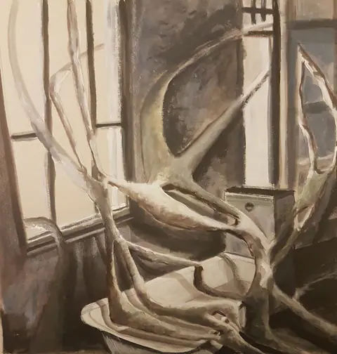 Fenêtre et racines blanches enlacées, dans des gris.
